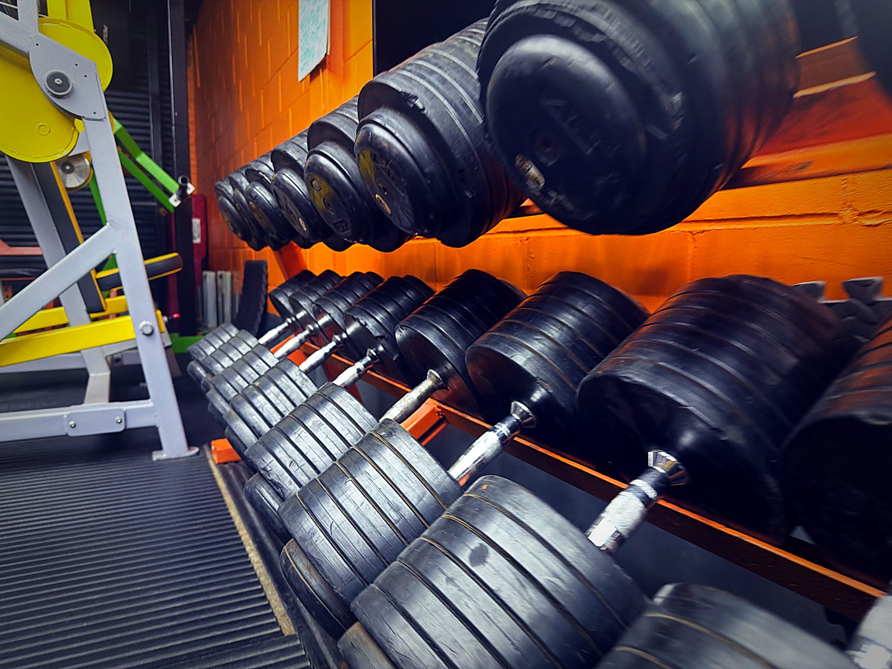 Racks of heavy rubber dumbbells against the orange wall