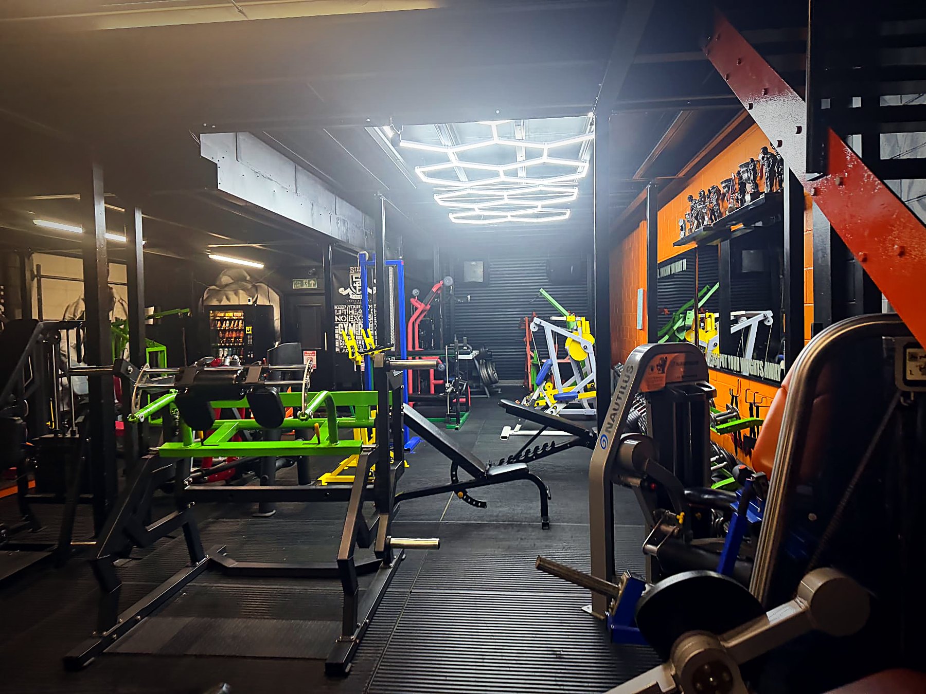 The main gym floor under the hexagon lights, with plate-loaded machines and benches
